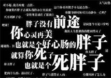 我姐是诸葛大力
